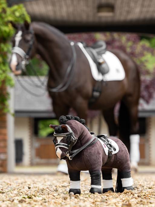 Mini Pony Valegro