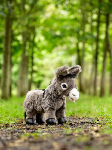 Mini Donkey Daphne