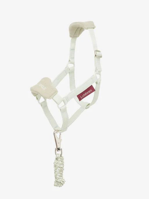 LeMieux Hobby Horse Grime