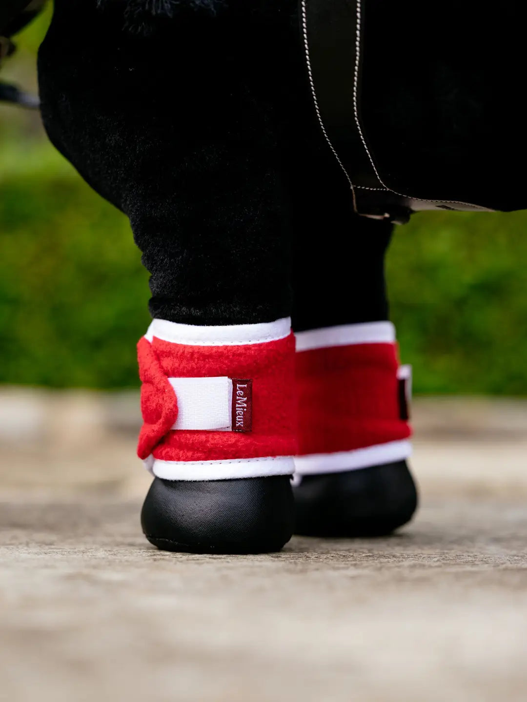 LeMieux Mini Pony Christmas Set