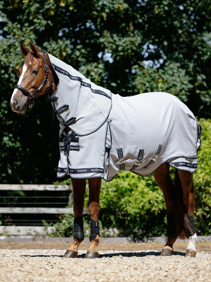 LeMieux Kudos Gladiator Fly Rug