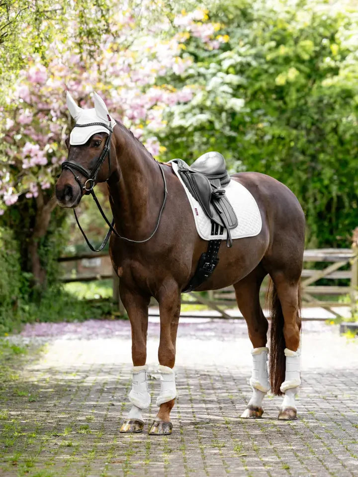 LeMieux Brilliance Dressurunderlag