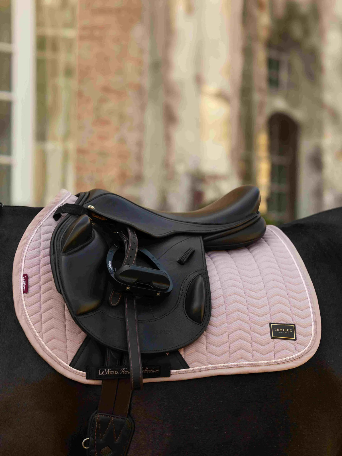 LeMieux Heritage Jumping Saddlepad