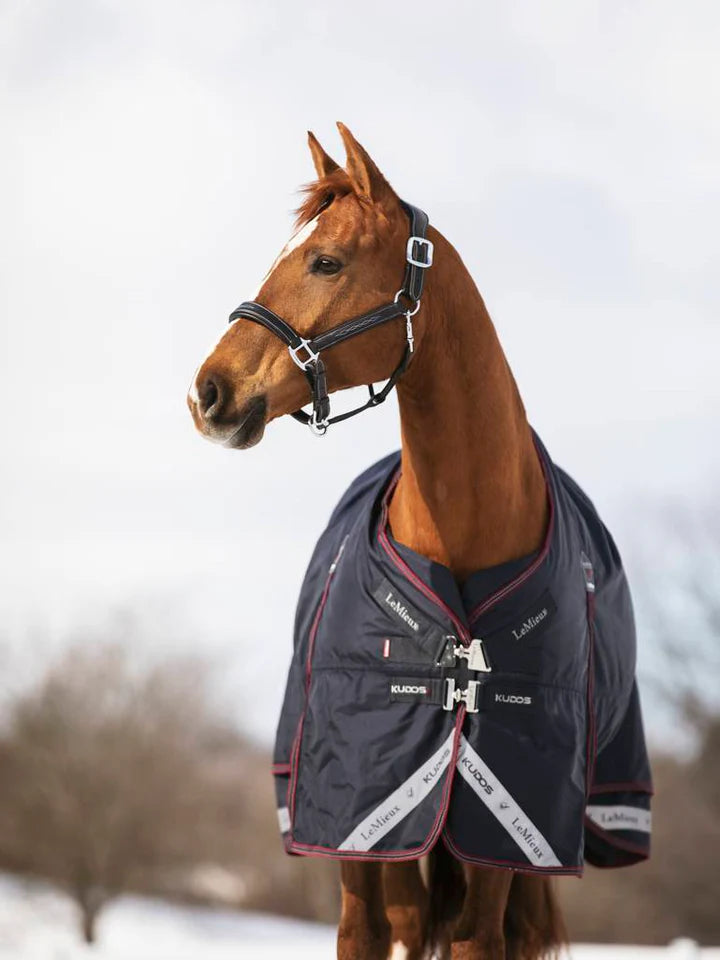 LeMieux Kudos Turnout Rug 350g.
