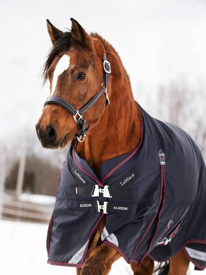 LeMieux Kudos Turnout Rug 350g.