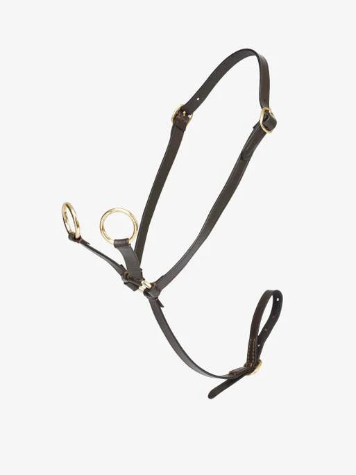 Mini Pony Martingale