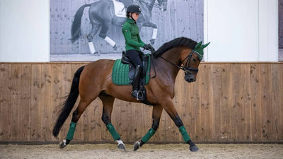 LeMieux Loire Classic Satin Dressurunderlag
