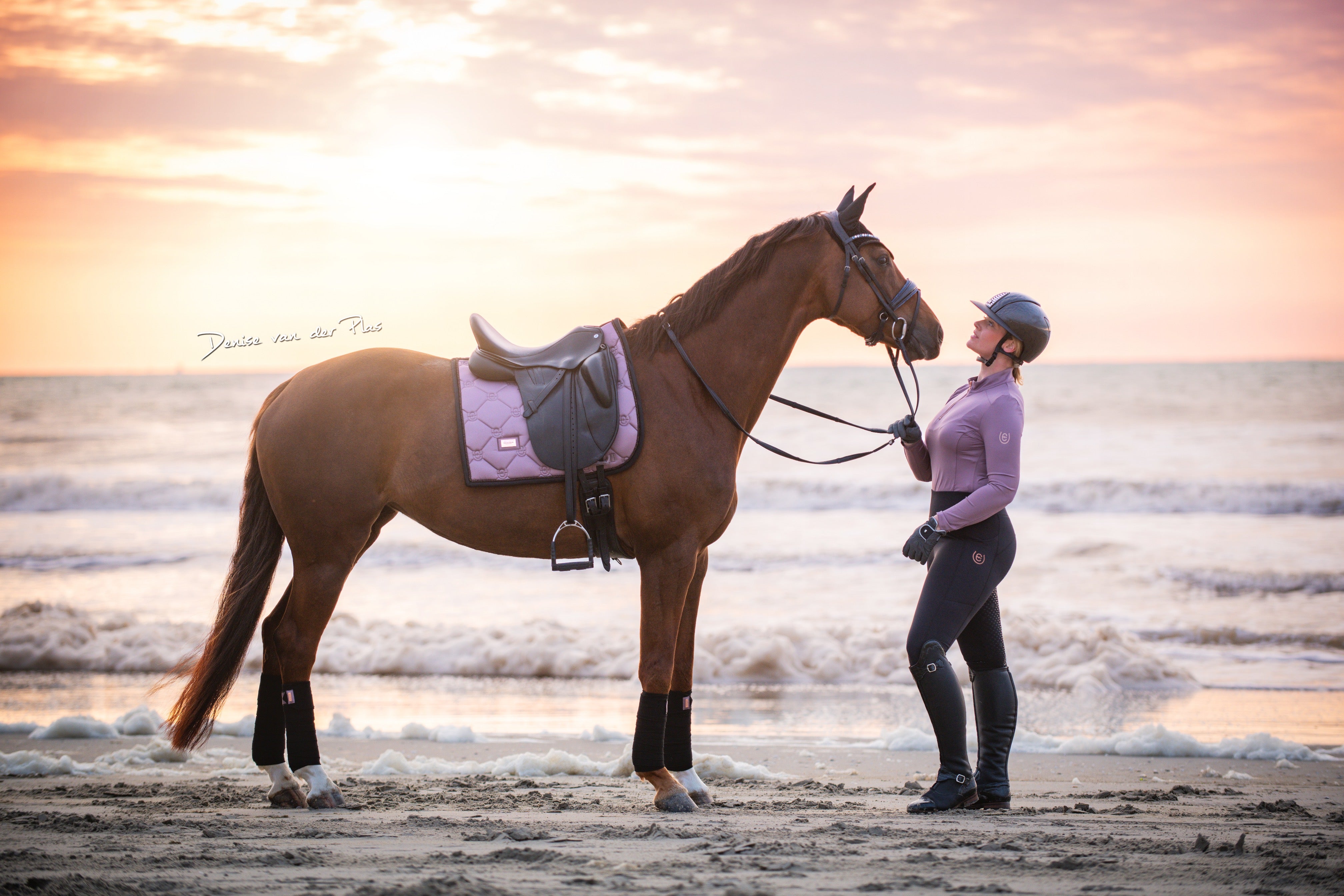 Equestrian Stockholm Anemone Dressurunderlag