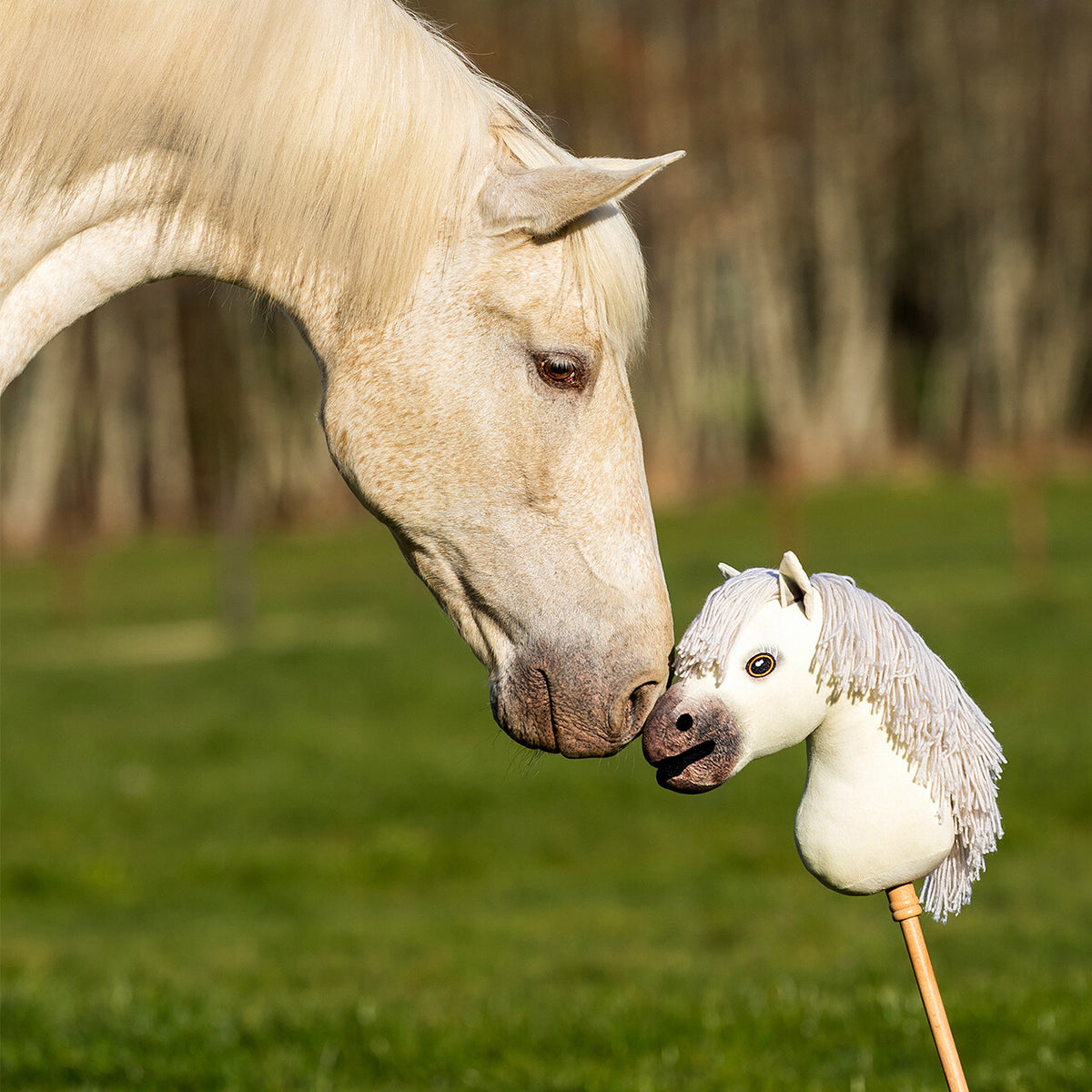 QHP Nalanta Hobby Horse Antares