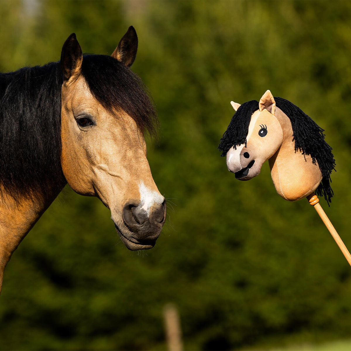 QHP Nalanta Hobby Horse Gaio