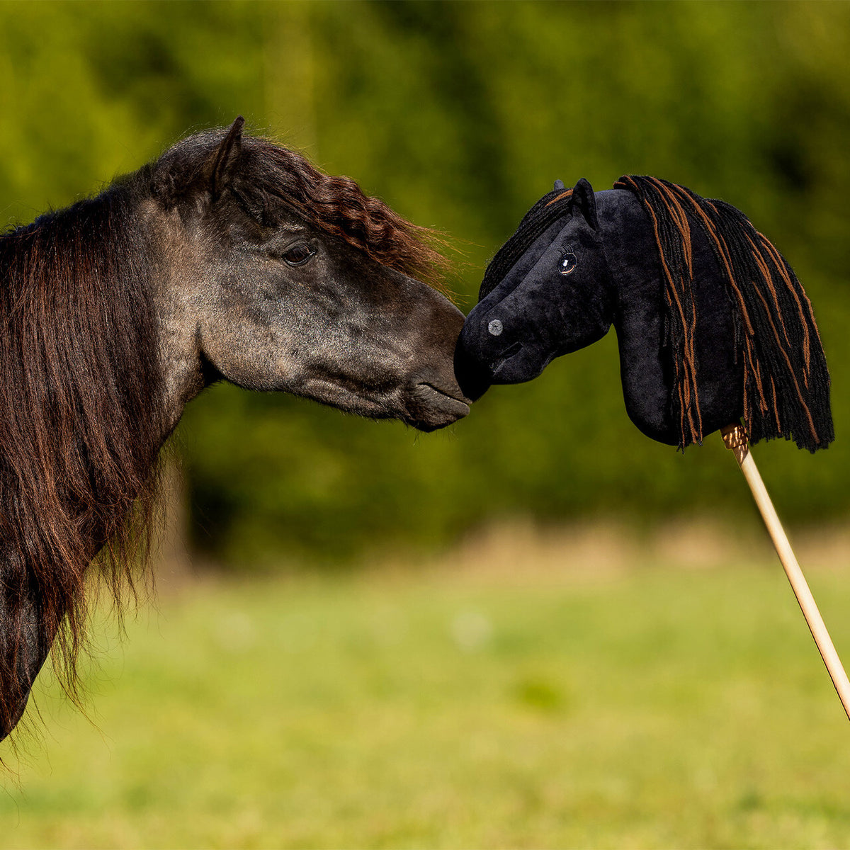 QHP Nalanta Hobby Horse Macho
