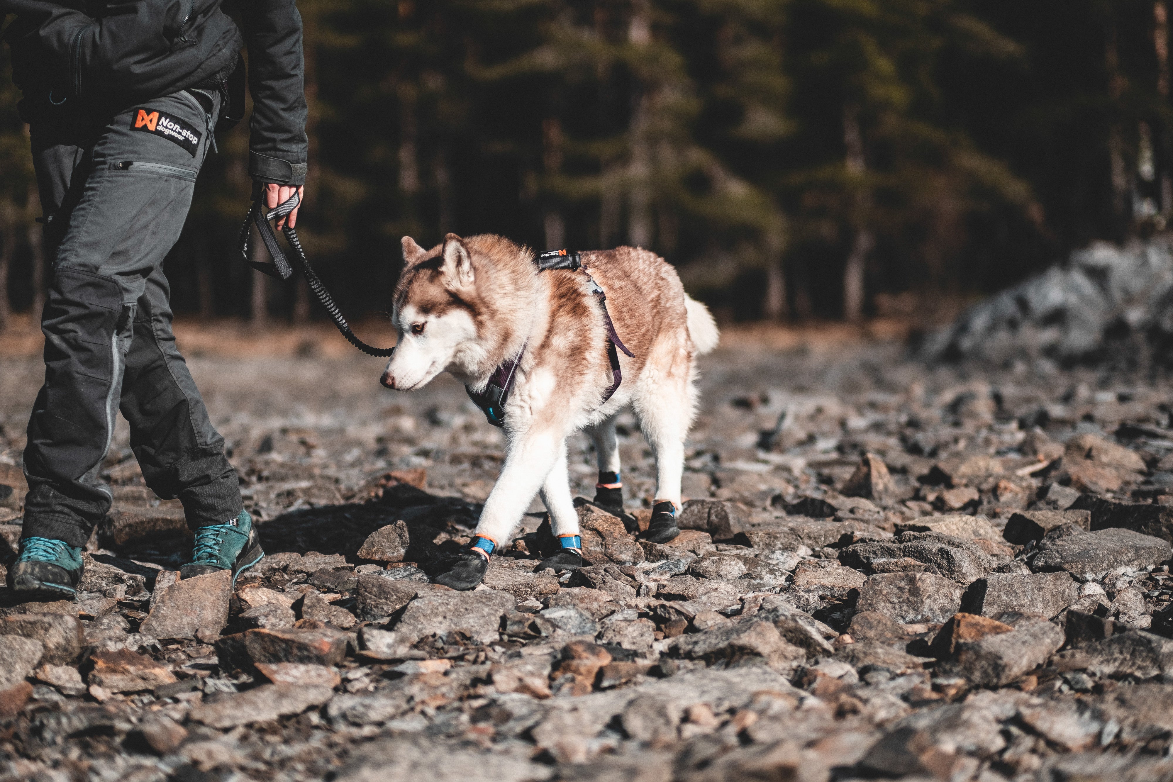 Non-Stop Dogwear Protector Bootie