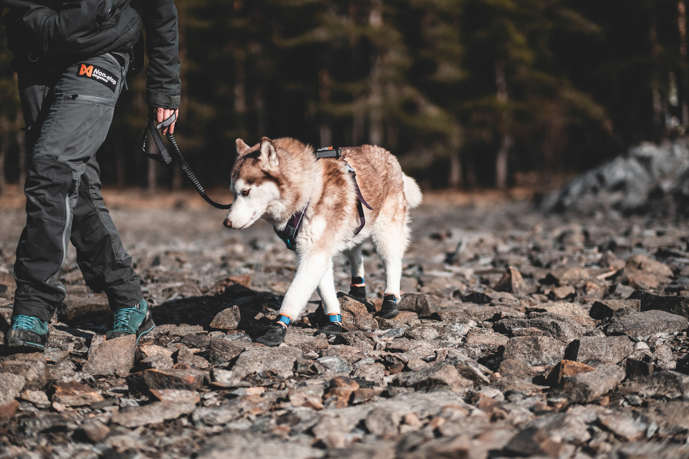 Non-Stop Dogwear Protector Bootie