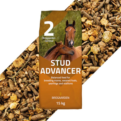 Brogaarden Stud Advancer, Optimal nr. 2