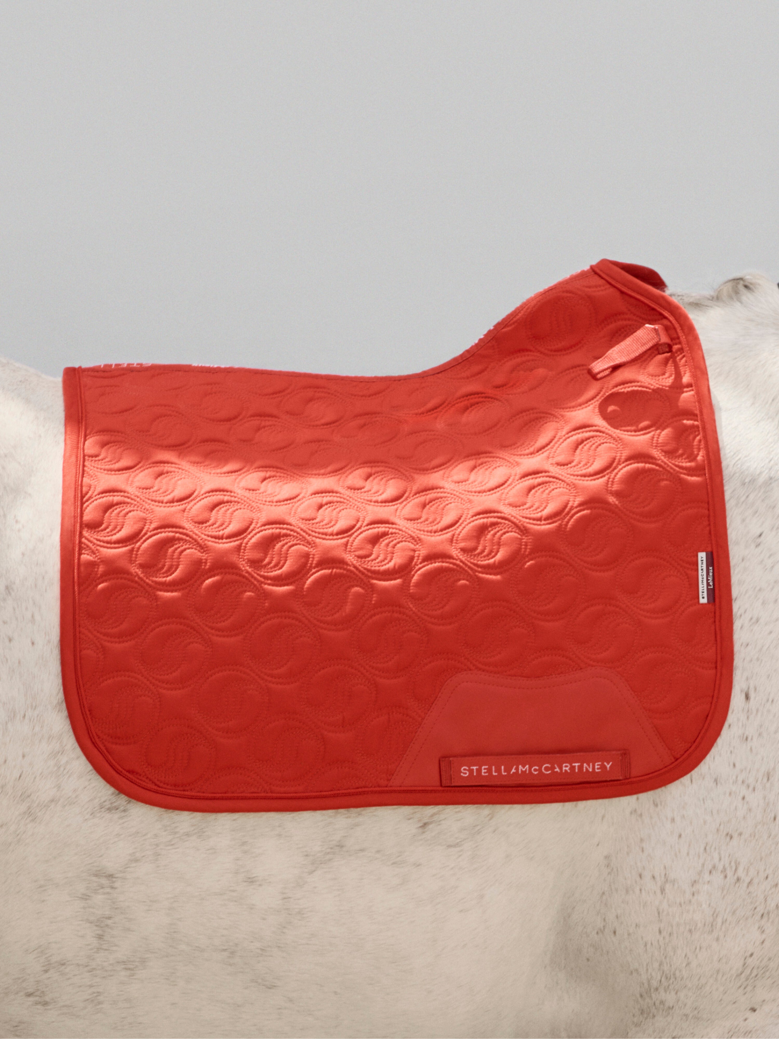 LeMieux x Stella McCartney Dressage Square