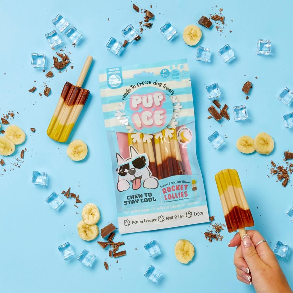 Pup Ice Raket Is Banan/Chokolade