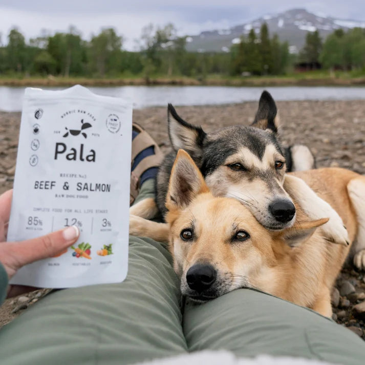 Pala Recipe #3 - Beef & Salmon