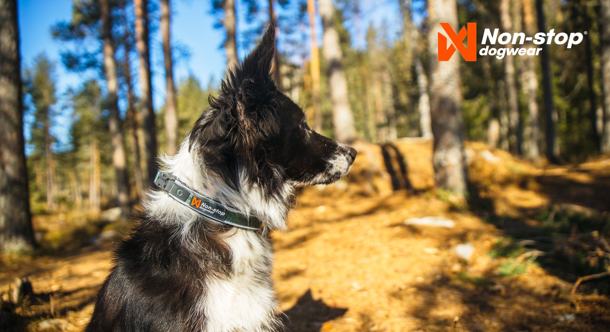 Non-Stop Dogwear Roam Halsbånd