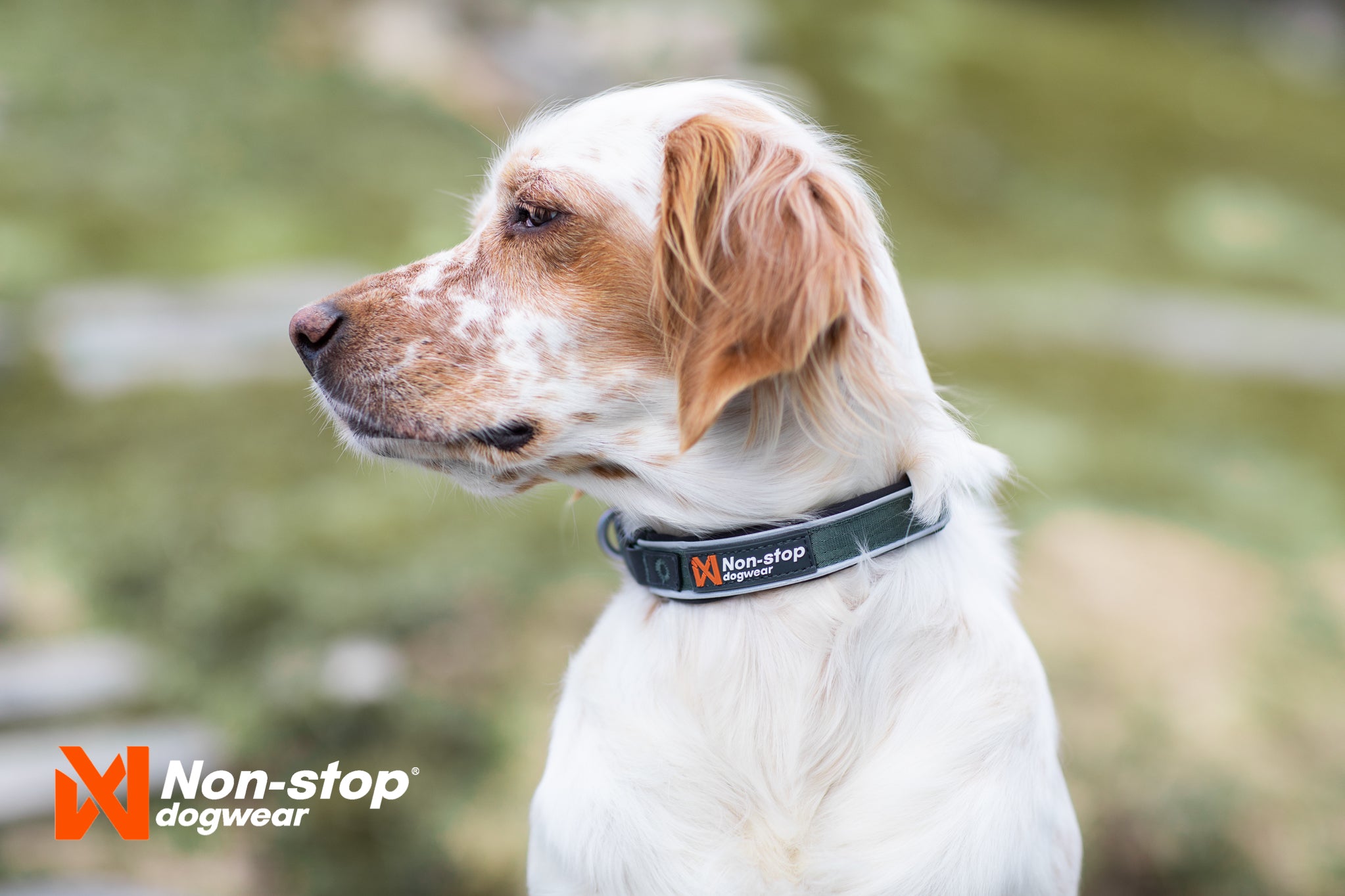 Non-Stop Dogwear Roam Halsbånd