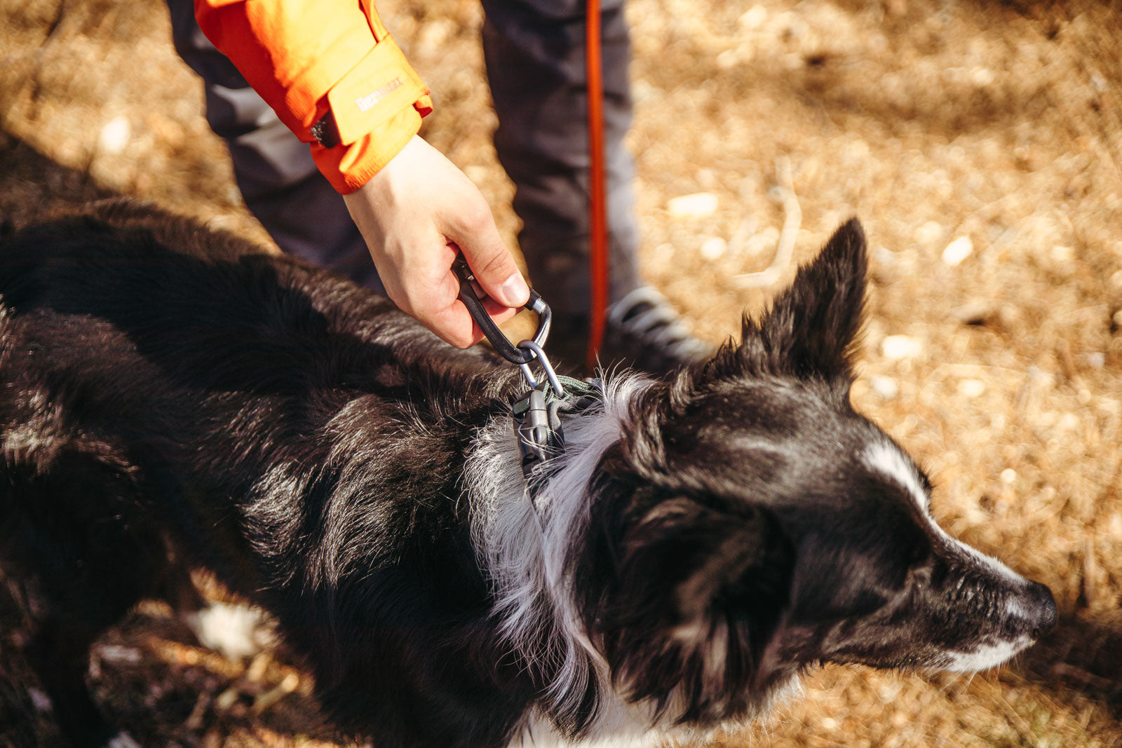 Non-Stop Dogwear Roam Halsbånd