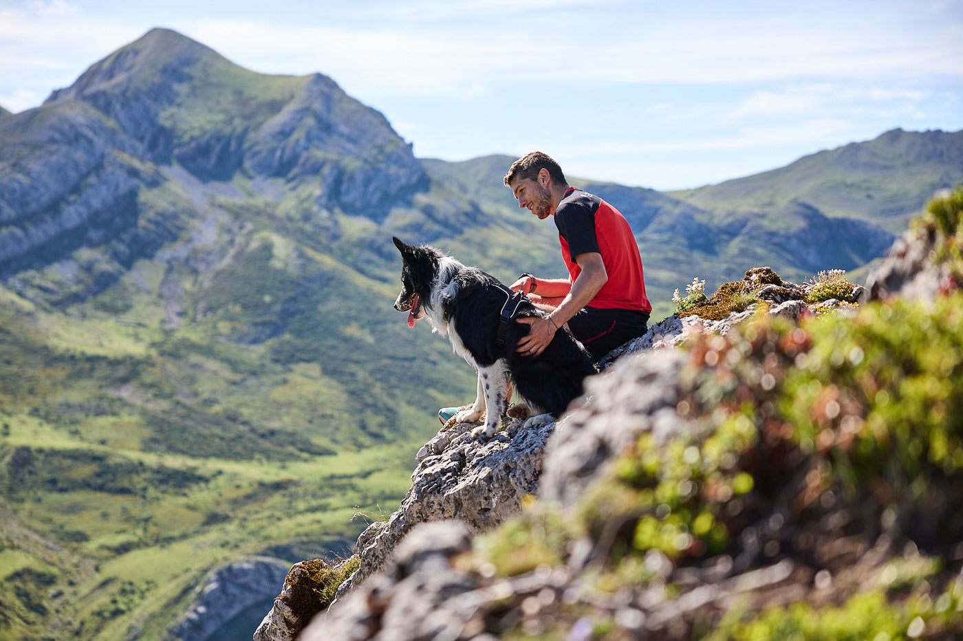 Non-Stop Dogwear Rock Harness