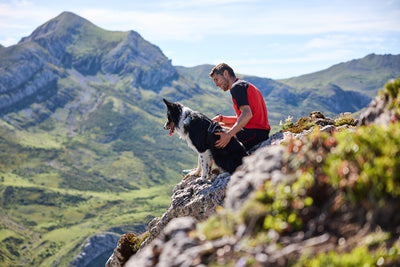 Non-Stop Dogwear Rock Harness