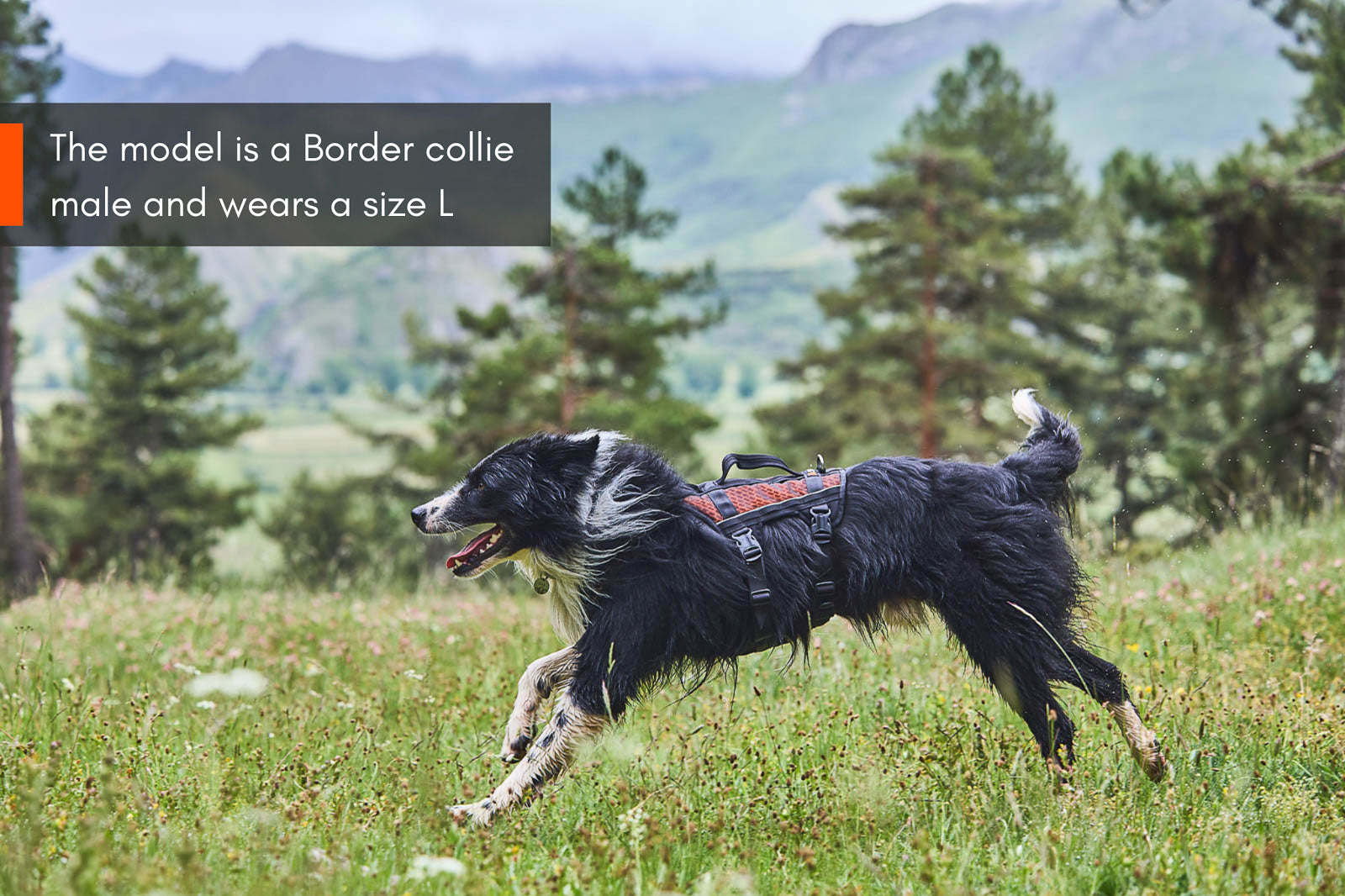 Non-Stop Dogwear Rock Harness Long