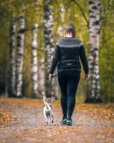 Non-Stop Dogwear Rush Belt