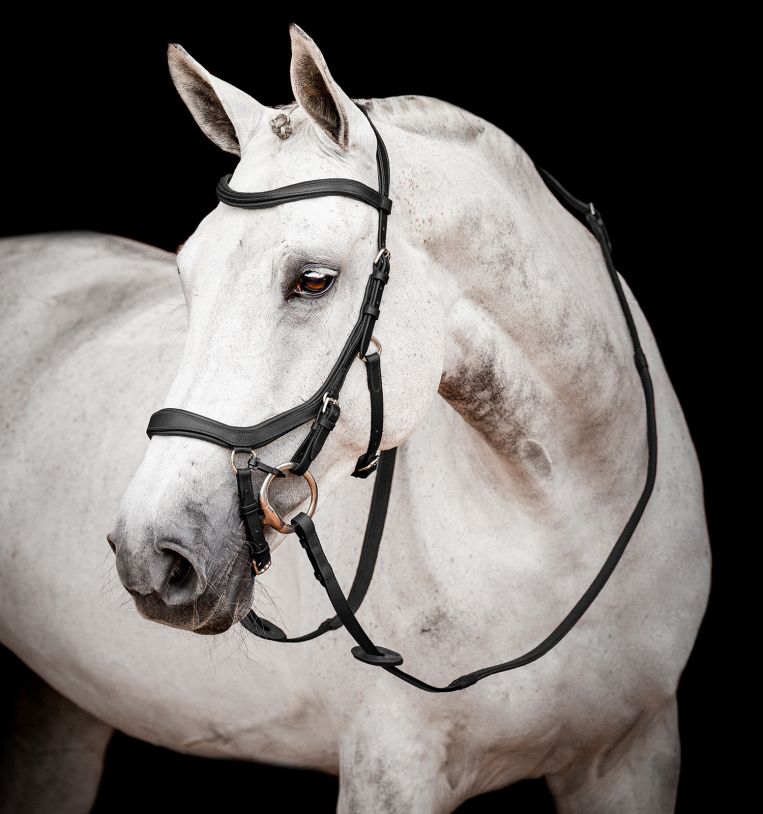 Micklem 2 Competition Bridle