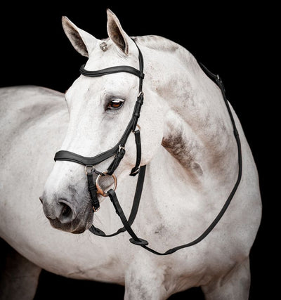 Micklem 2 Competition Bridle