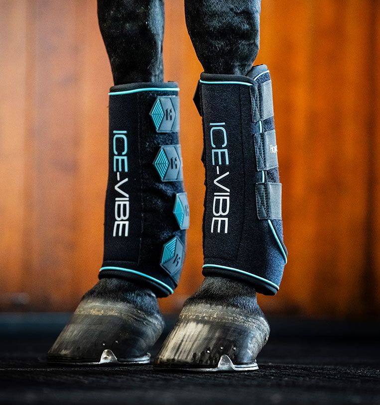 Horseware Ice Vibe