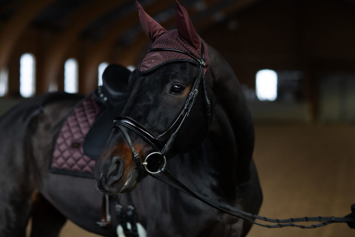 Equestrian Stockholm Endless Glow Hut