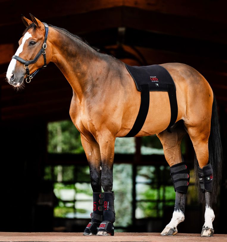 Horseware® LED Red Light Therapy Pad | Lysterapi til hest – Dyr i Centrum
