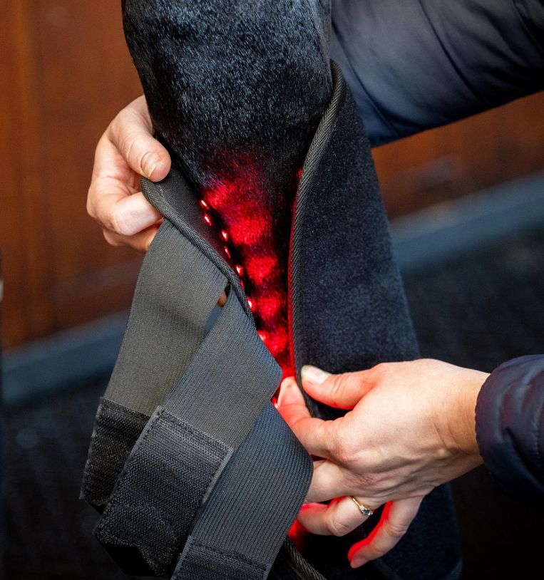 Horseware® LED Red Light Therapy Leg Wrap
