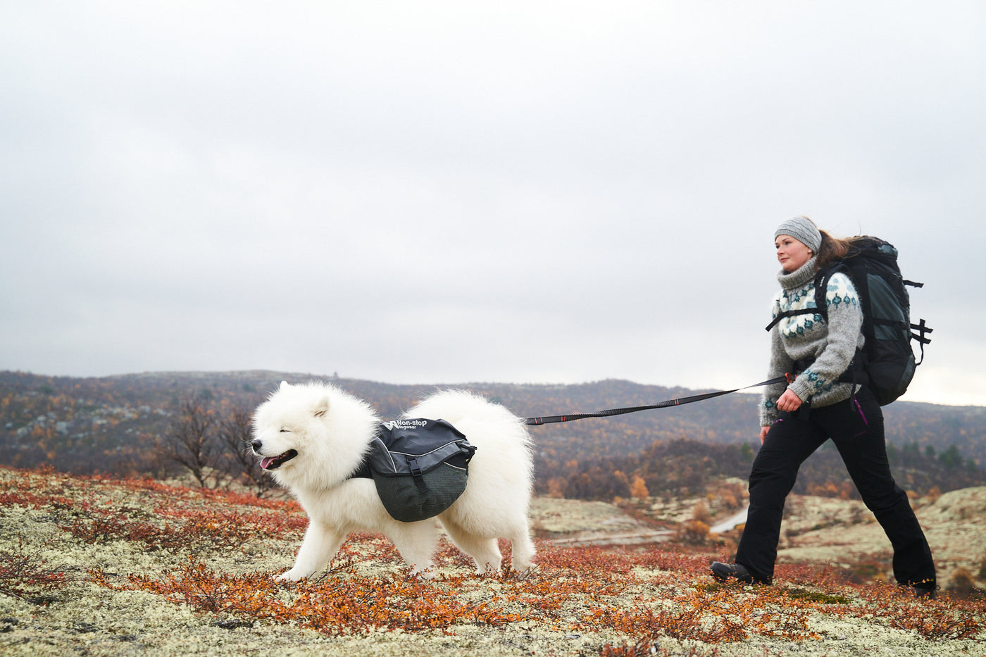 Non-Stop Dogwear Touring Bungee Adjustable