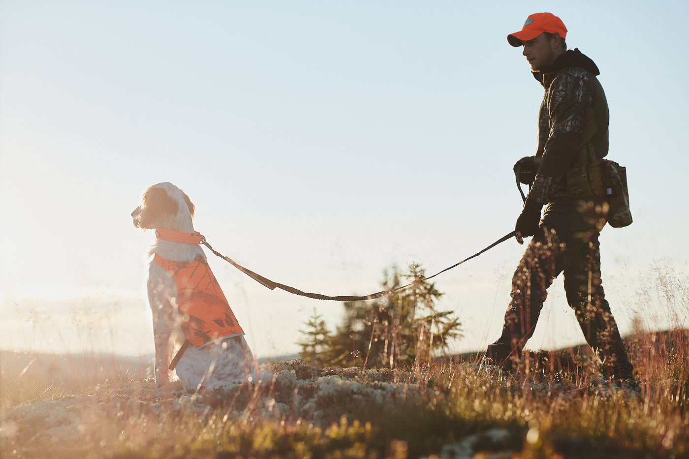 Non-Stop Dogwear Touring Bungee Adjustable