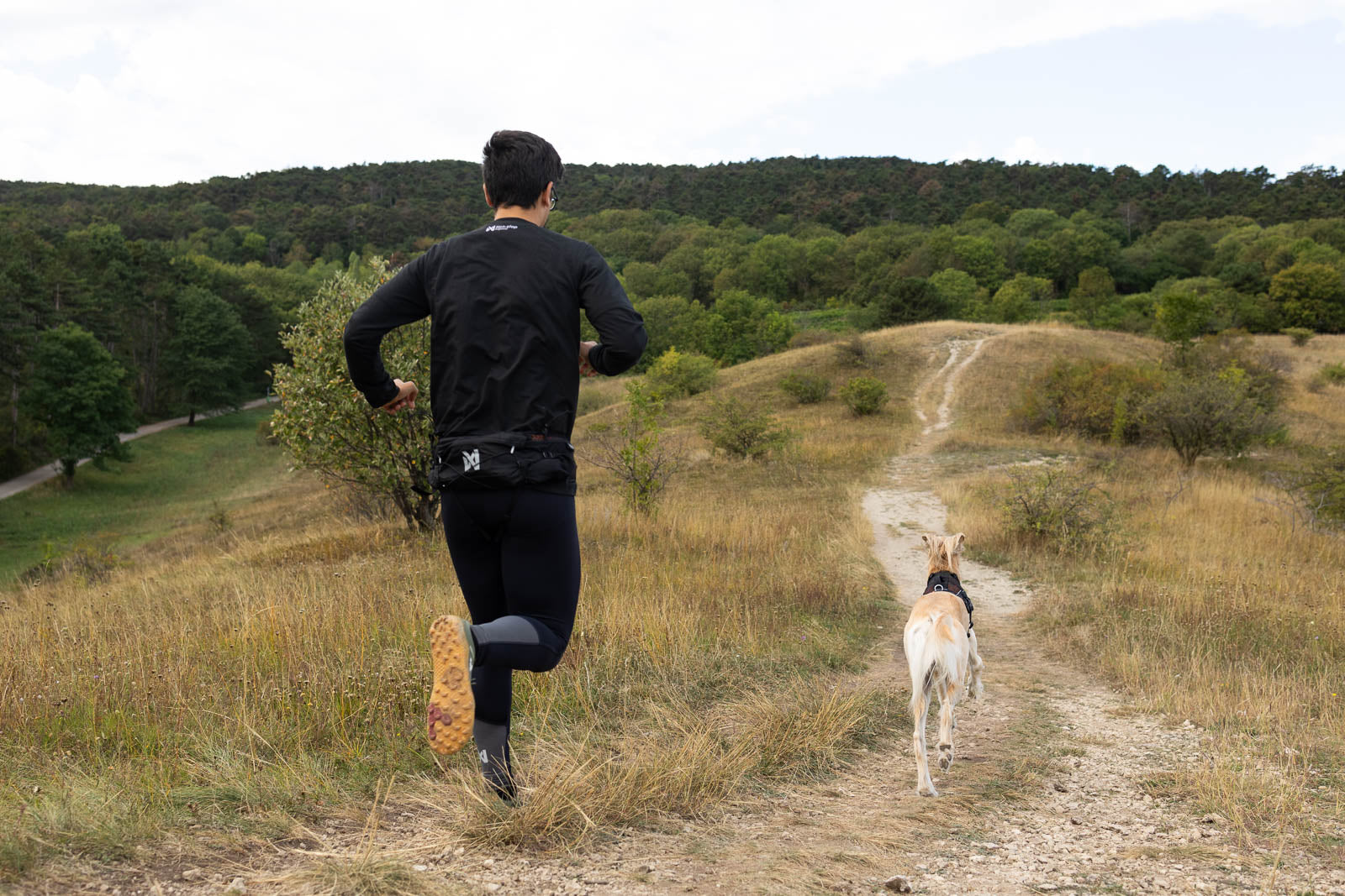 Non-Stop Dogwear Trail Light Belt