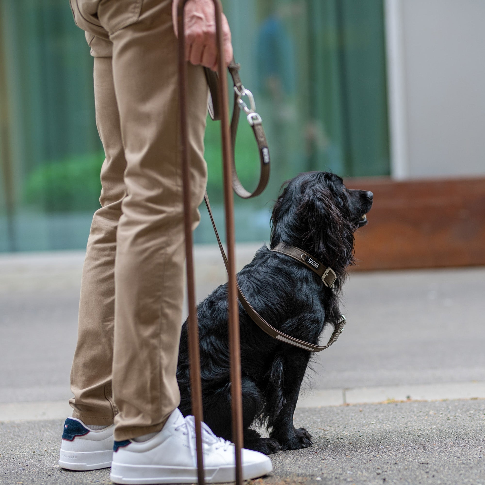 Dog Copenhagen Classic Halsbånd