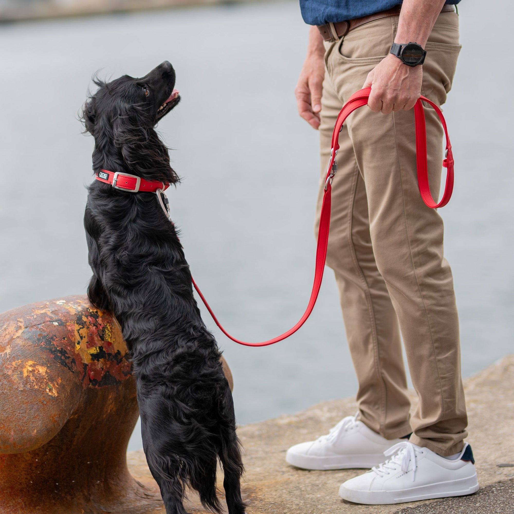Dog Copenhagen Classic Halsbånd