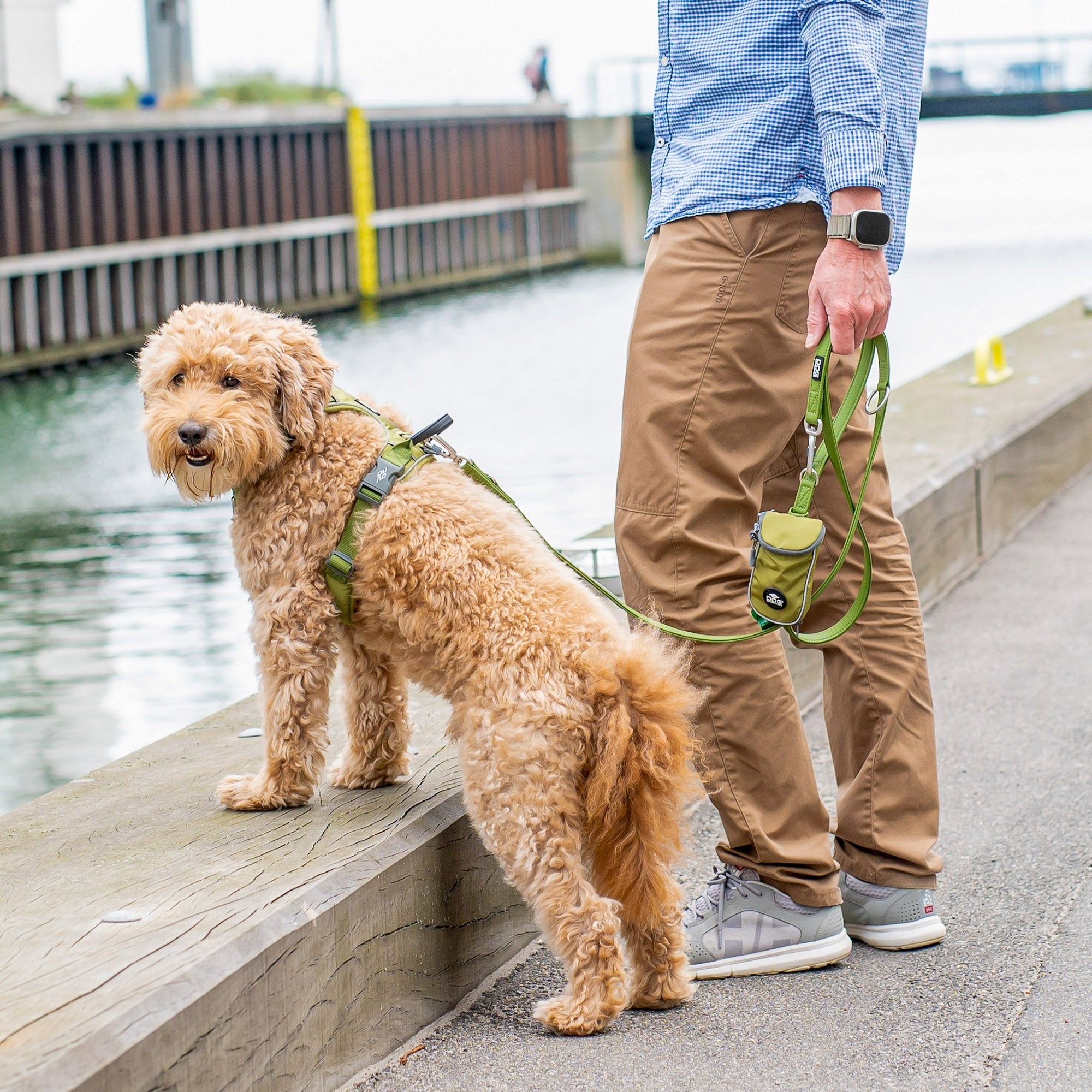 Dog Copenhagen Urban Classic Line