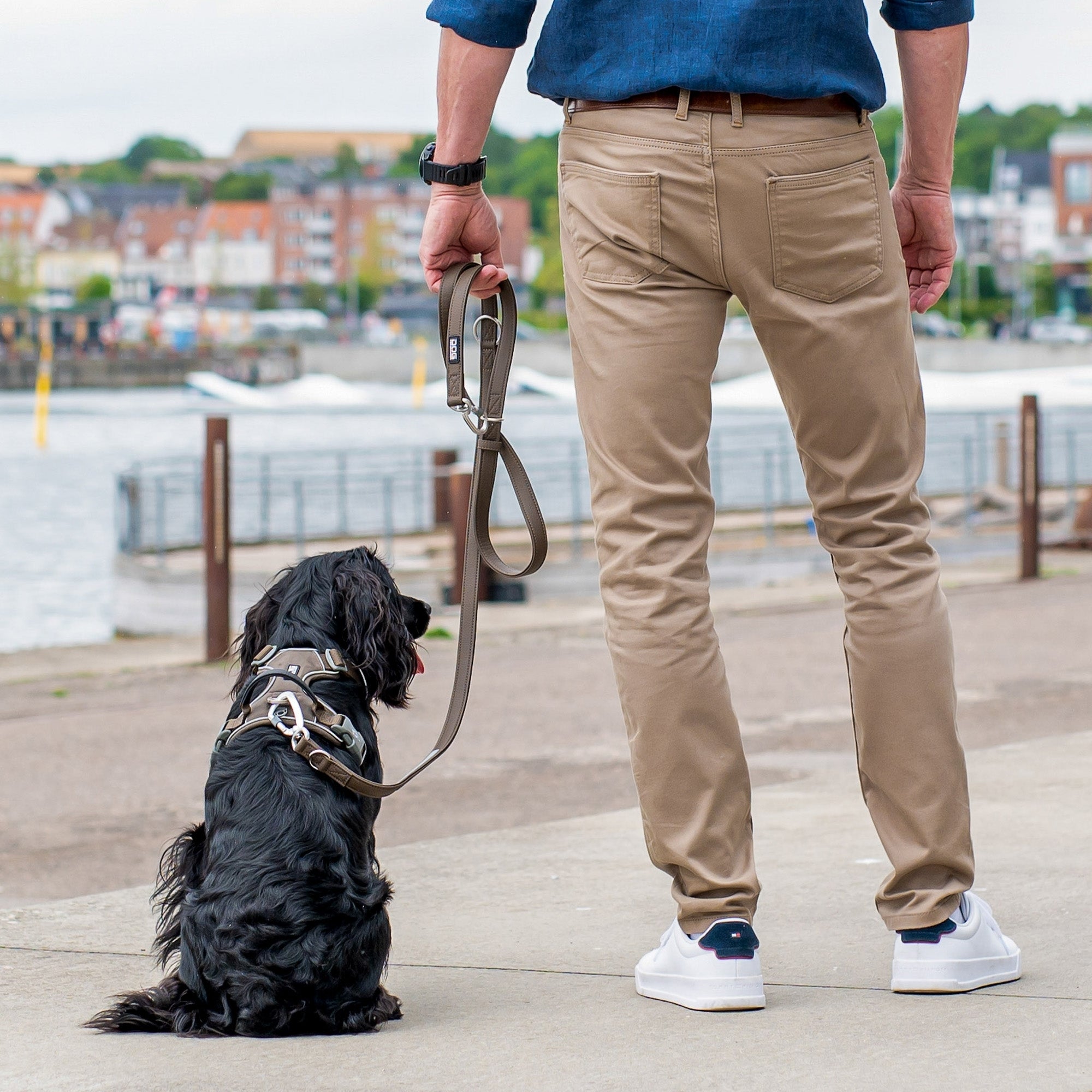 Dog Copenhagen Urban Classic Line