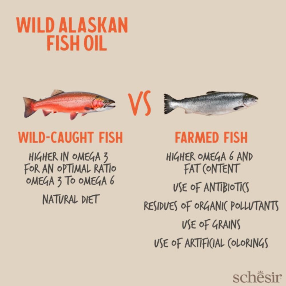 Grizzly Pet Products Schesir Grizzly Wild Alaskan fiskeolie