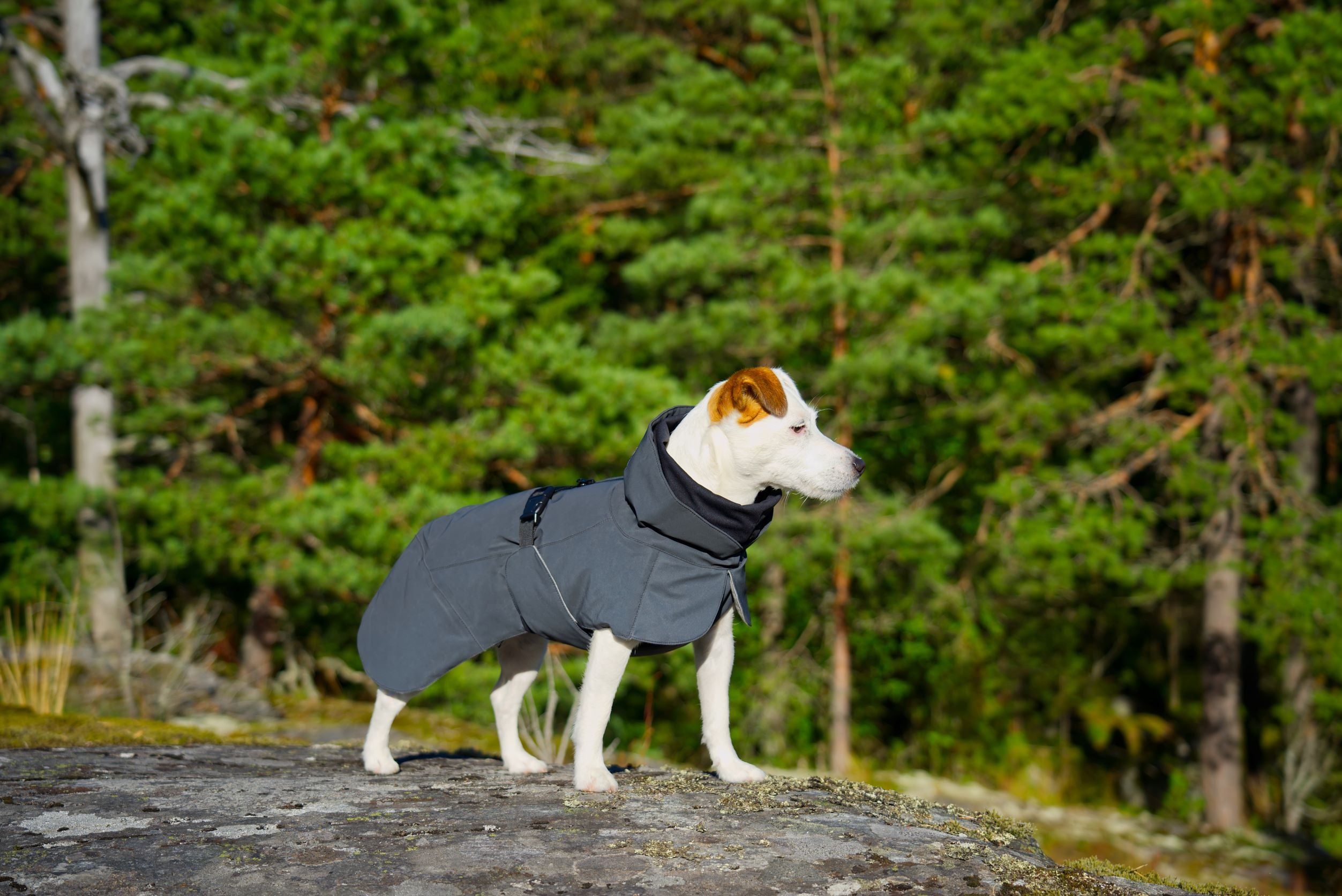 PAIKKA Visibility Raincoat