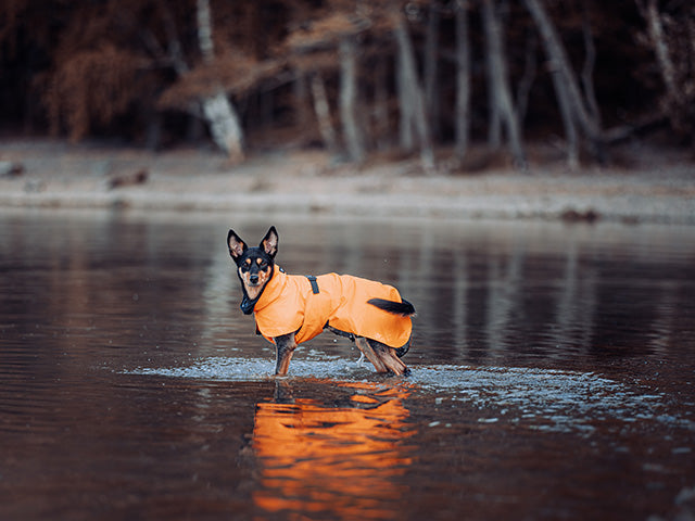 PAIKKA Recovery Raincoat