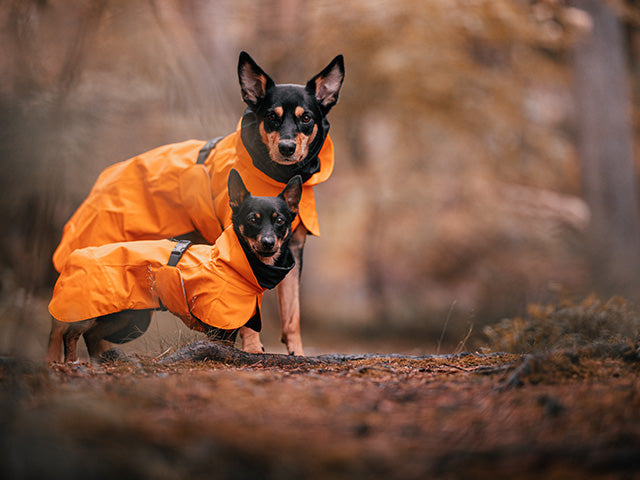 PAIKKA Recovery Raincoat