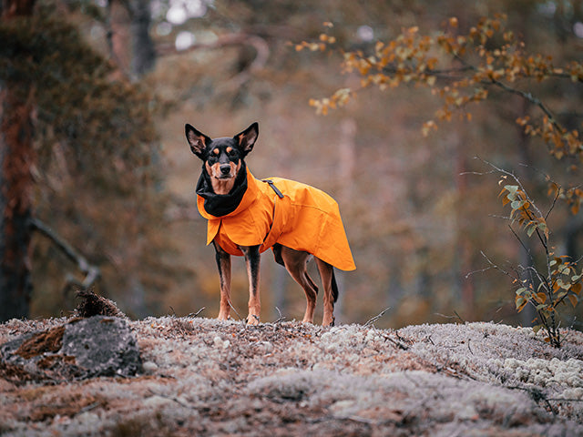 PAIKKA Recovery Raincoat