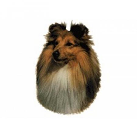 World Stickers Sweeden Klistermærke - Shetland Sheepdog