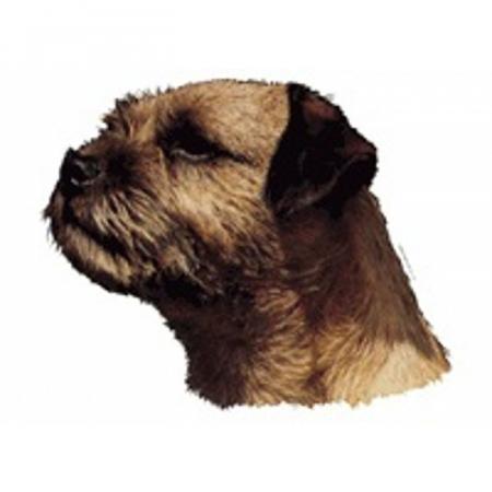 Klistermærke - Border Terrier