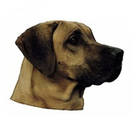 World Stickers Sweeden Klistermærke - Rhodesian Ridgeback