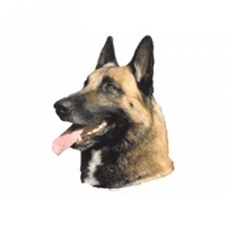 World Stickers Sweeden Klistermærke - Malinois